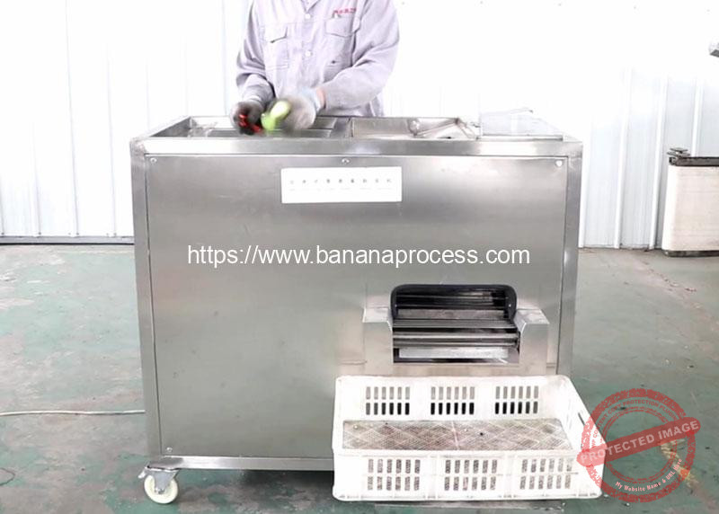 Auto-Feeding-Type-Green-Banana-Peeling-Machine-for-Peru
